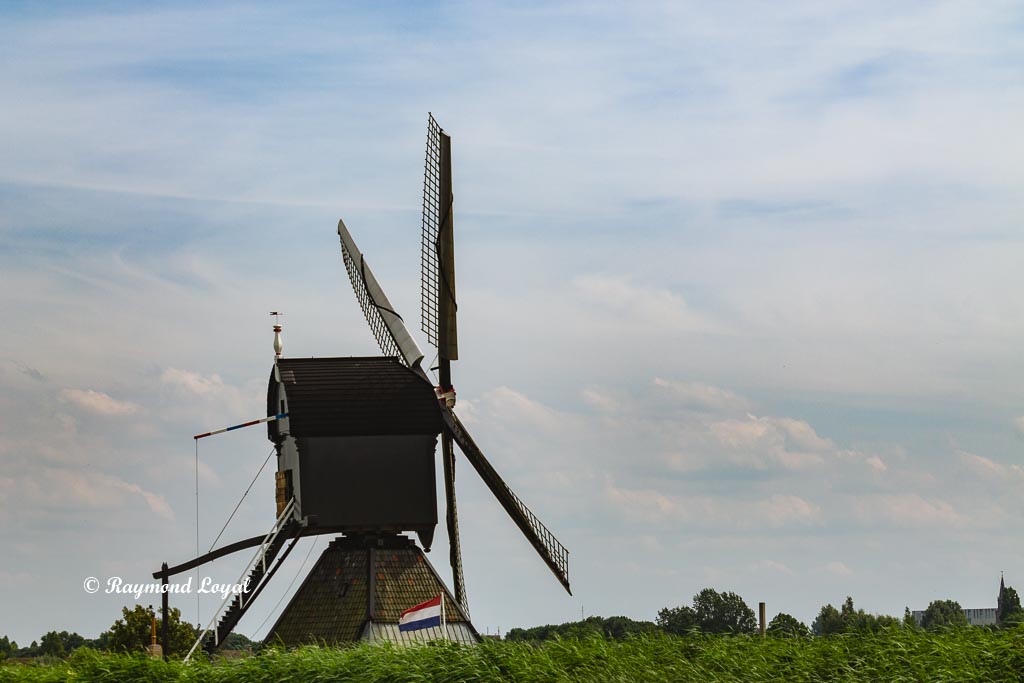 kinderdijk windmills image