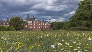 schloss wasserburg anholt wildblumenwiese