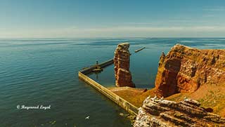nature photography