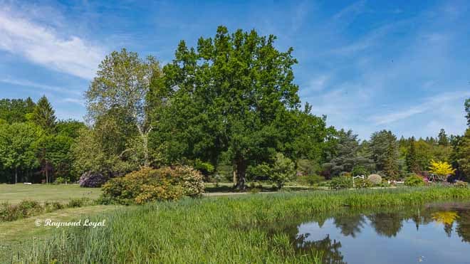 schloss lembeck garten