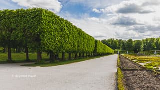 schloss augustusburg bruehl broderieparterre