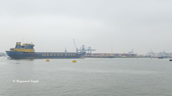 Rotterdam bulk carrier hafenbecken seehafen waalhaven