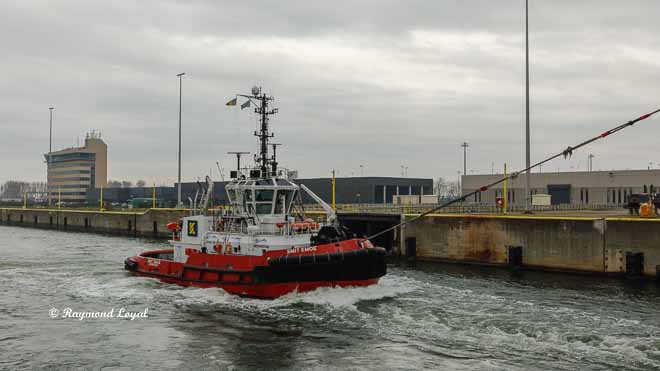 tug zeebrugge port