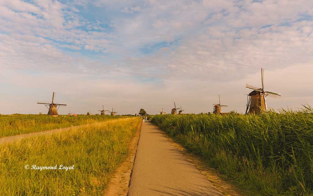 kinderdijk windmuehlen foto