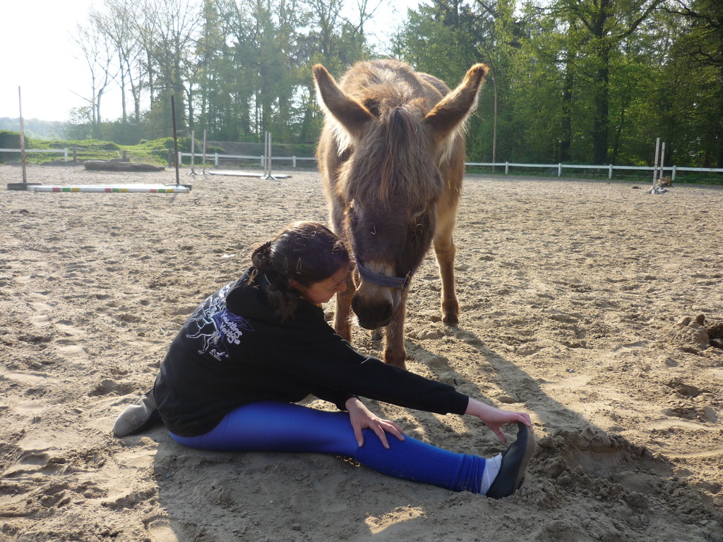 ...der Esel wollte Aileen essen...