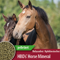 -10% Rabatt auf Mineralfutter für Pferde, Hunde & Katzen, gültig im Juli 2025