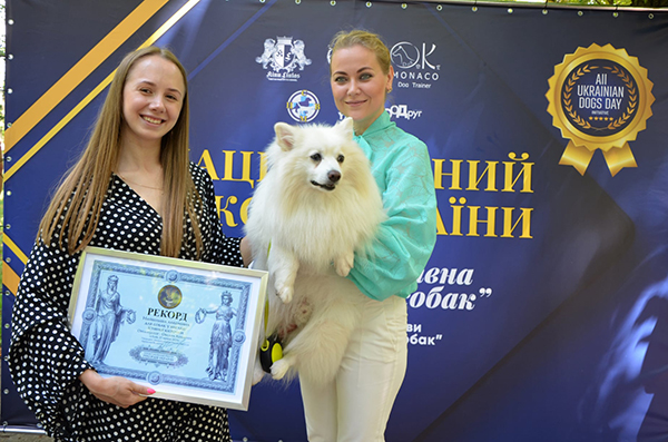 Japanese Spitz Simba, Ukraine, National Record of Ukraine, 2021, owners, dogs, The Longest delicacy for dogs, unusual records, Yuliya Strizhkina