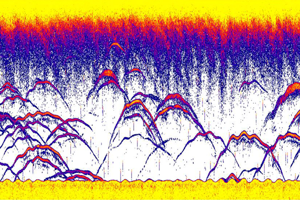 sonar screen with fish arches 