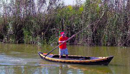 Barca a Percha, es una modalidad tradicional de navegar por el lago de la Albufera de Valencia que se empuja con un palo largo.