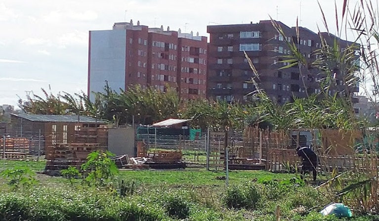 Chabolismo y okupas en la huerta de Benimaclet, en la Ronda Norte de Valencia