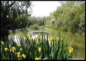 El Parque de la Rambleta es un gran espacio verde de más de 42.000 m² situado en el barrio de Camí Real (distrito de Jesús) de València capital, conocido por su ambiente natural, casi salvaje, y sus amplias instalaciones para familias.