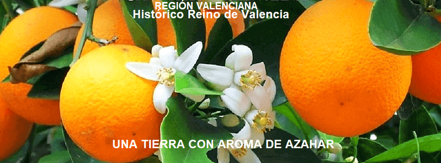La Región Valenciana es un territorio autónomo del Reino de España, la cual se constituyó como comunidad autónoma en el año 1982.