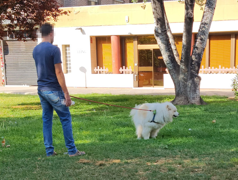 El delito de este tío, es que al lado tiene un parque para perros.