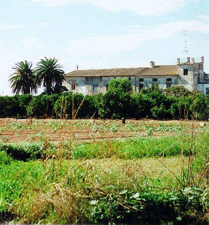 La Alquería de Ferrer en València es un edificio histórico rural, un "casalot" (casa grande) que se conformó entre los siglos XVI y XIX. Se ubica en las huertas de Faitanar, en el distrito 19 del término de Valencia.