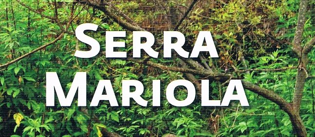 El parque natural de la Sierra de Mariola con más de 1.200 especies vegetales contabilizadas.