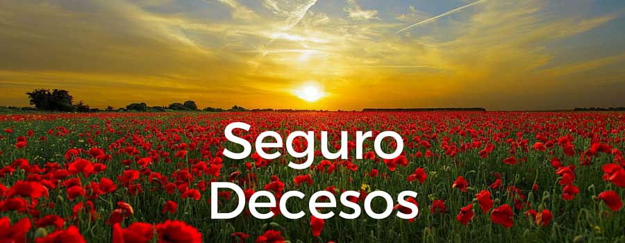 Los seguros de decesos o de los muertos, son un negocio millonario... por lo tanto la muerte es el mejor negocio que hay.