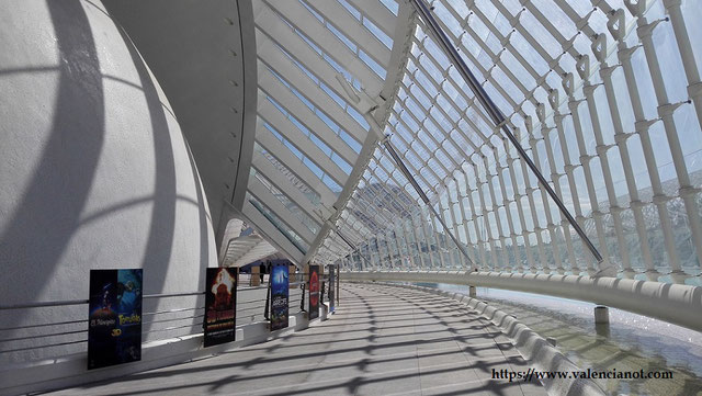 Vista desde el interior del Hemisferio de la Ciudad de las Artes y la Ciencias de Valencia.