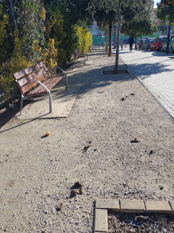 Jardines llenos de excrementos y que los dueños de las  mascotas  en la Ciudad de València no recogen.