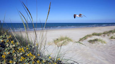 La Platja de l'Aigua Blanca, situada en el municipio de Oliva (Valencia), es una de las playas más emblemáticas de la comarca de la Safor, conocida por su ambiente relajado y su entorno natural de dunas. 