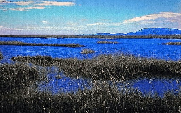 El Parque Natural del Prat de Cabanes-Torreblanca es el humedal más importante de la provincia de Castellón y uno de los mejor conservados de la Comunidad Valenciana. Se trata de una estrecha franja costera de marismas y pantanos.