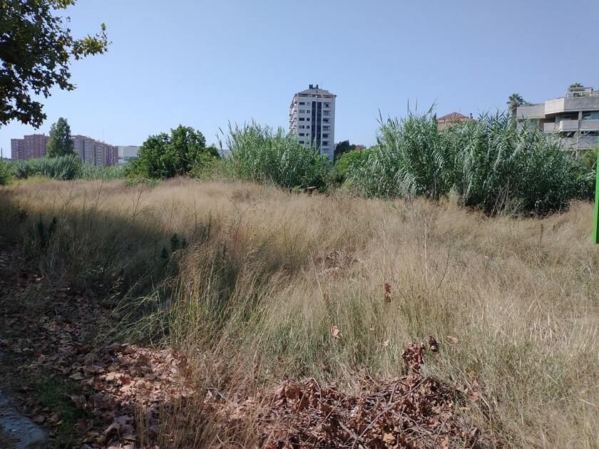 Me gusta dar largos paseos por el barrio de Benimaclet y alrededores, y es una desagradable sorpresa de comprobar personalmente la suciedad que está por todos los sitios.