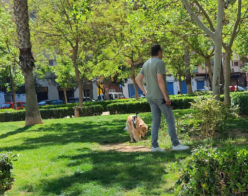 En Nou Campanar existen zonas para perros, pero apenas se usan y a pesar de la prohibiciones usan los los jardines para hacer sus necesidades que no se recogen en la mayoría de casos.