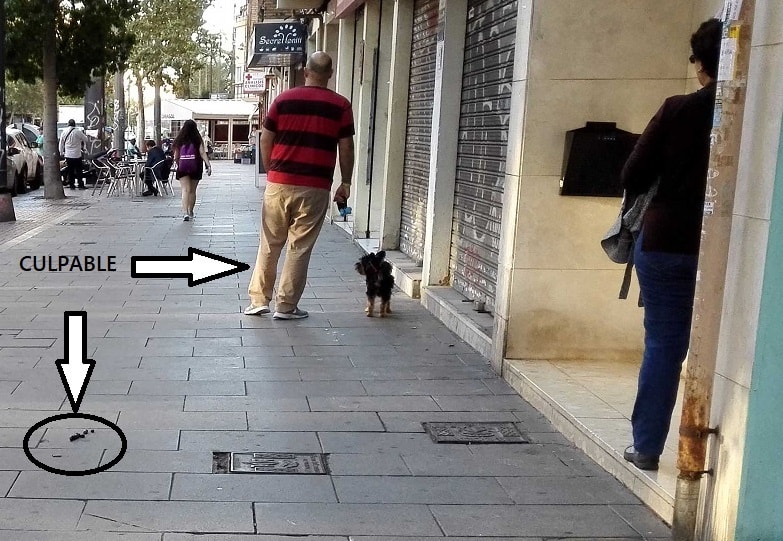 Un ejemplo de los impresentables que no recogen la caca de sus animales en València, perros sueltos y sin bozal.