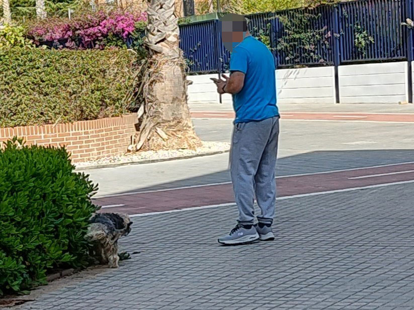 Pero da igual, si la ley no los castica con fuertes sanciones económicas. Pues España es un país donde nadie respeta nada, sin castigo no hay respeto..  