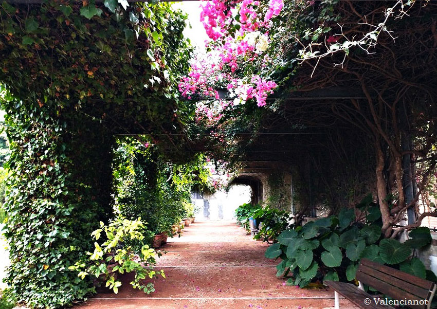 Un precioso paseo cubierto de flores y plantas del Jardín de la Hespérides
