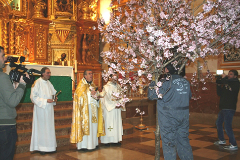 Fiesta de la entrada de la flor en Torrente, con la llegada de la primavera.