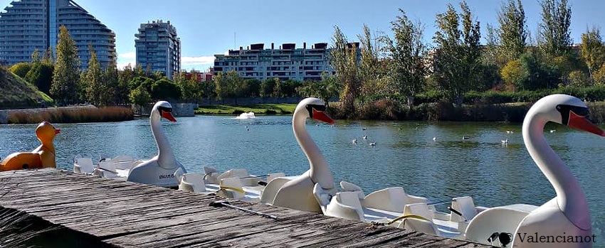 Barcas en forma de cisne en el  Parque de Cabecera (Capçalera) en el antiguo  cauce del río de la ciudad de València