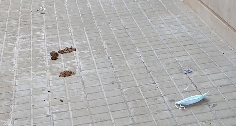 Un ejemplo de los   impresentables que no recogen las heces  de sus mascotas  en la Ciudad de Valencia.