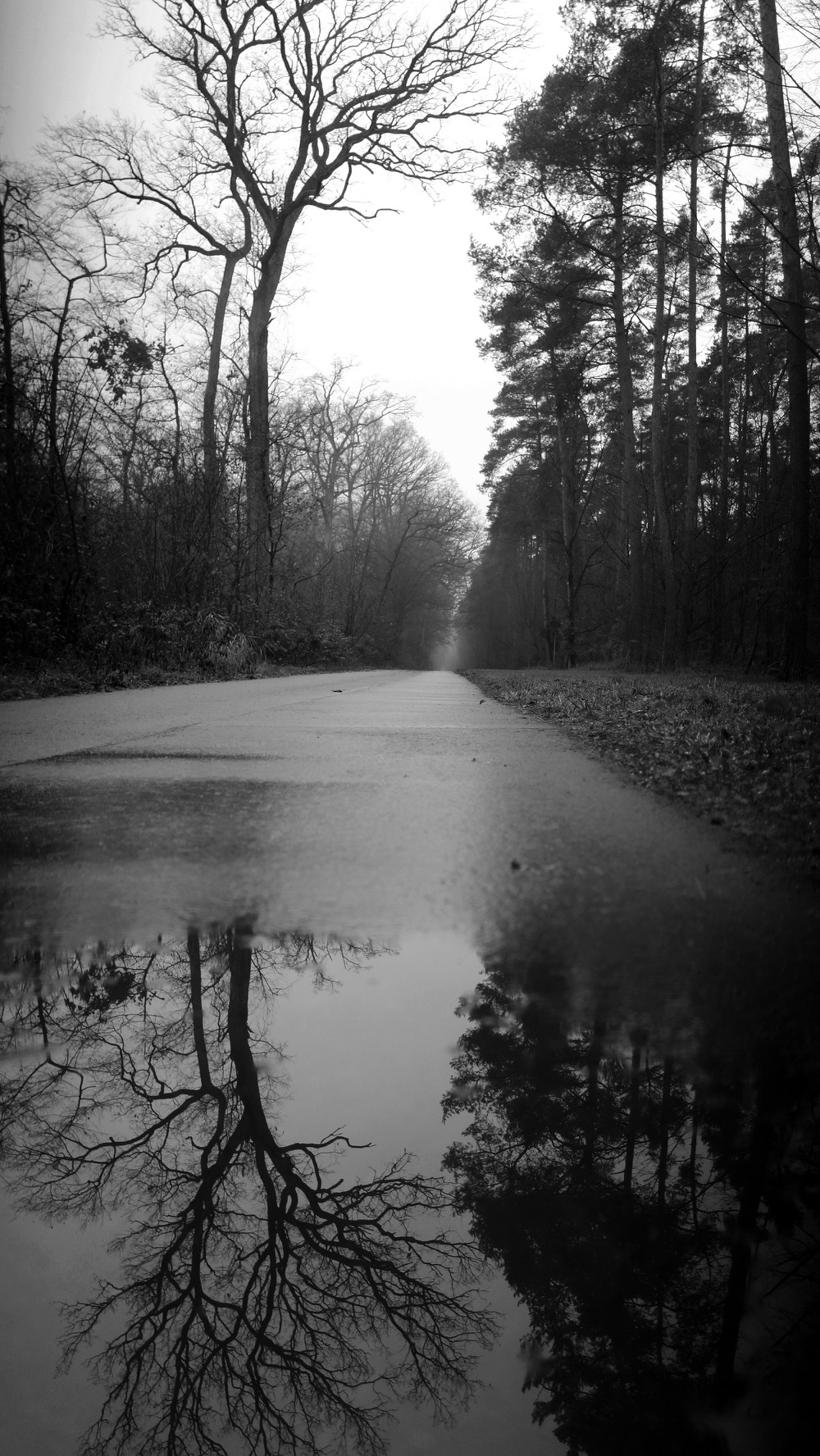 Nach dem Regen