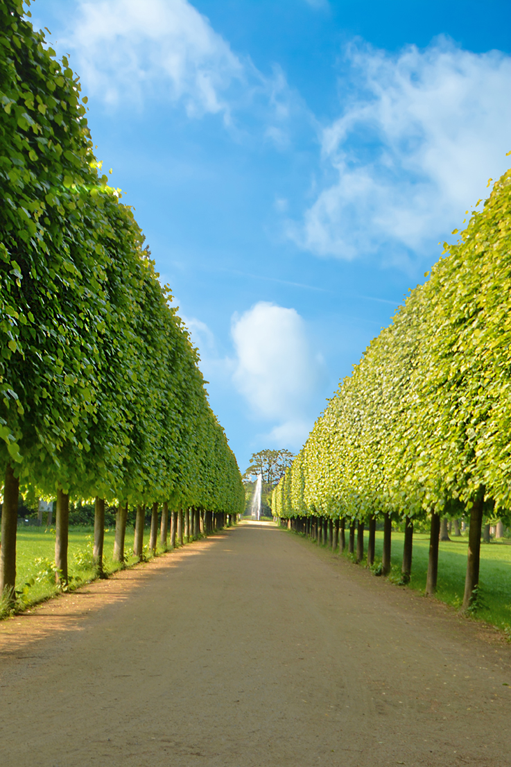 Schlossgarten Dieburg, Mai 2019