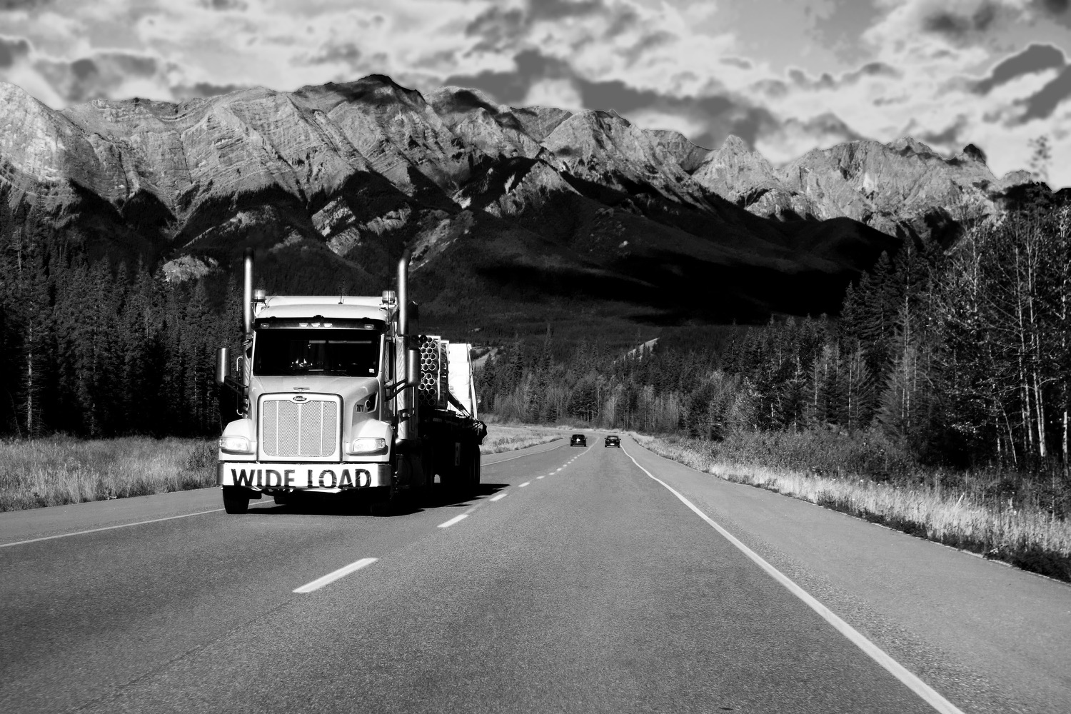 WIDE LOAD