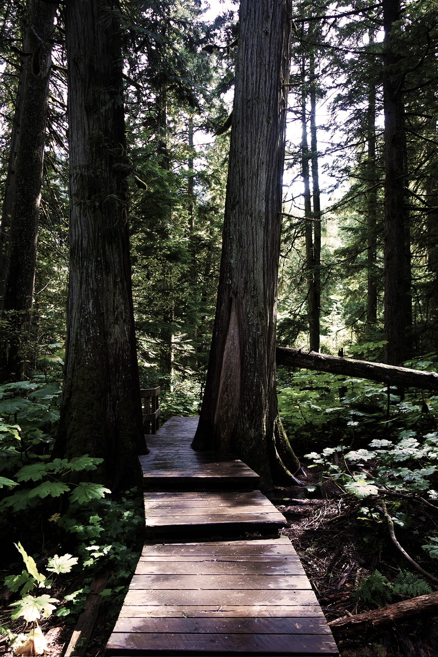 Pacific Rim National Park Reserve