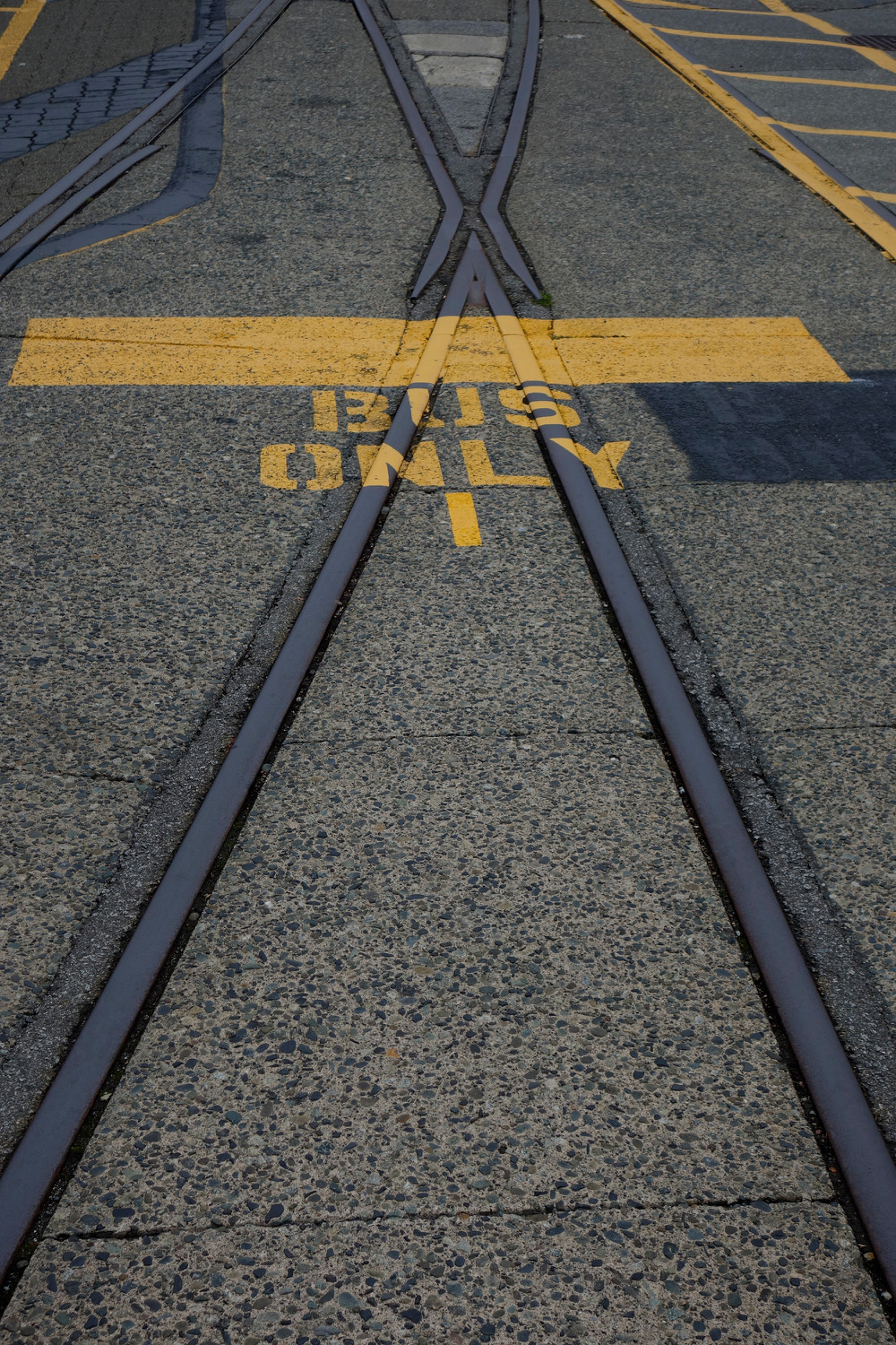 BUS ONLY