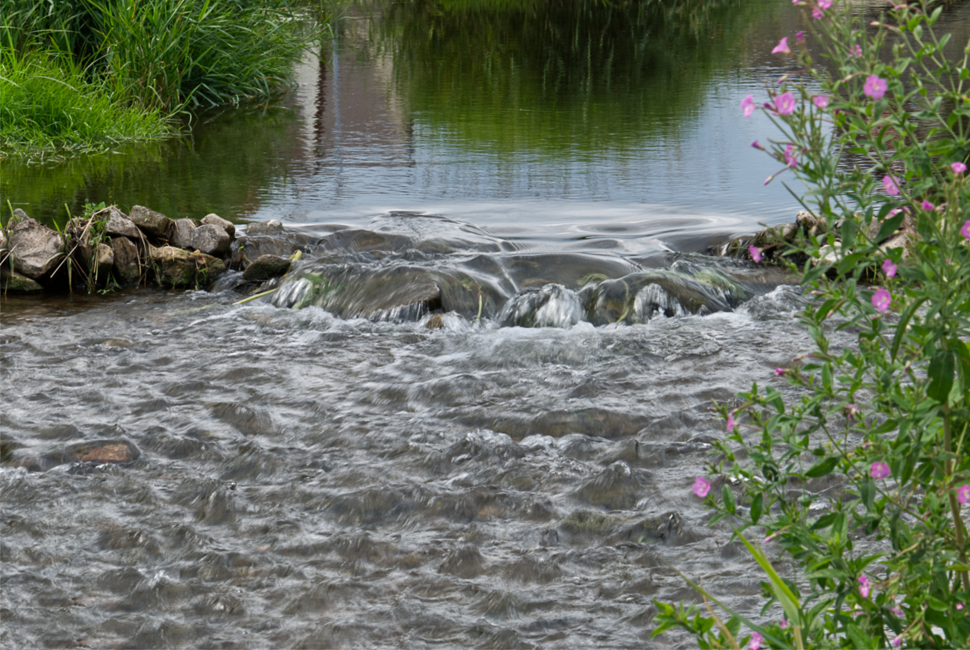 Lebendiges Wasser