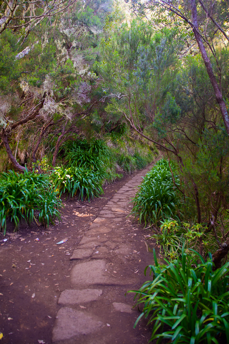 Wanderweg auf Madeira, Mai 2025
