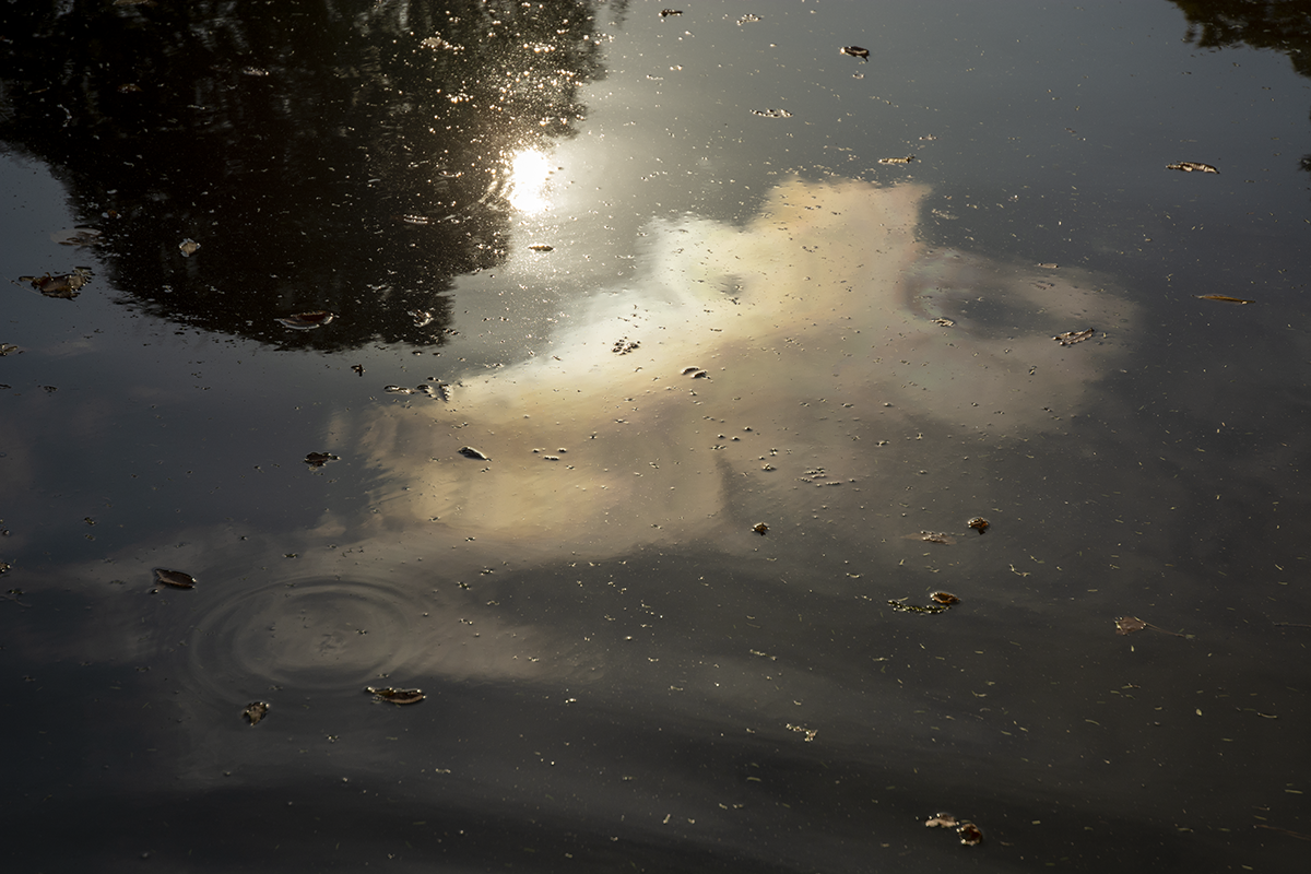 秋　池に映った雲と太陽