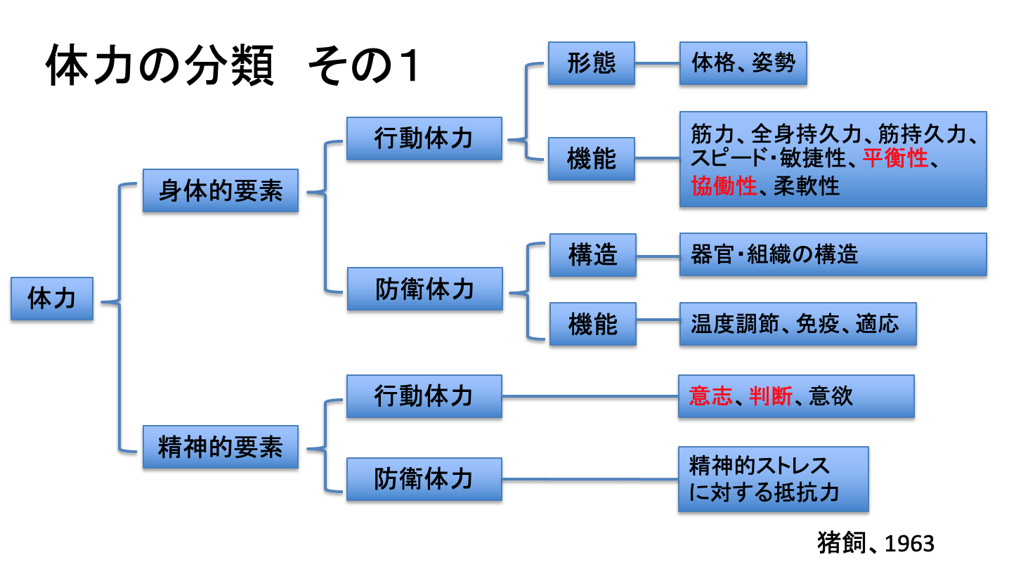 パーソナルトレーナーが知っておくべき体力とは