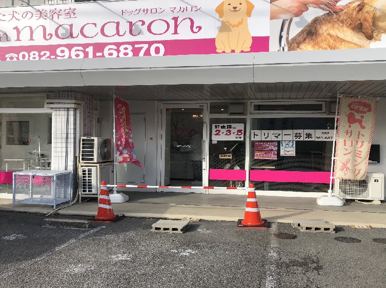 Dogsalonmacaronドッグサロンマカロン 広島市佐伯区 安い トリミング 50 Off Dogsalonmacaronドッグサロンマカロン トリミング 五日市 Dogsalonmacaronドッグサロンマカロン 広島市佐伯区 安い トリミング 50 Off Dogsalonmacaronドッグサロンマカロン トリミング 五日市