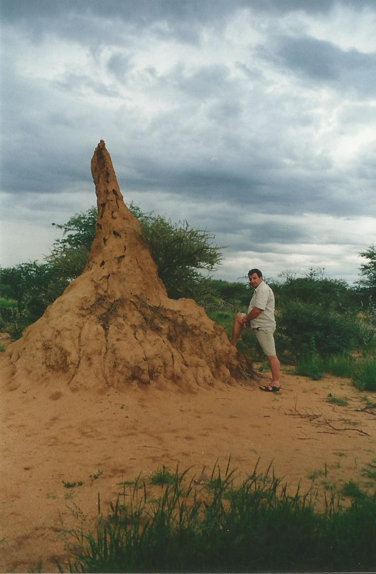 Kopiec termitów. Z cyklu moja Afryka