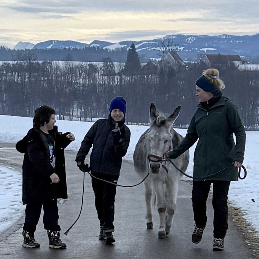 Esel, Schnee und reingehauen