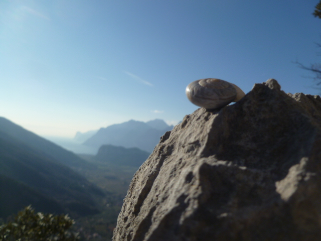 Die Alpinschnecke genießt die Aussicht vom Ausstieg