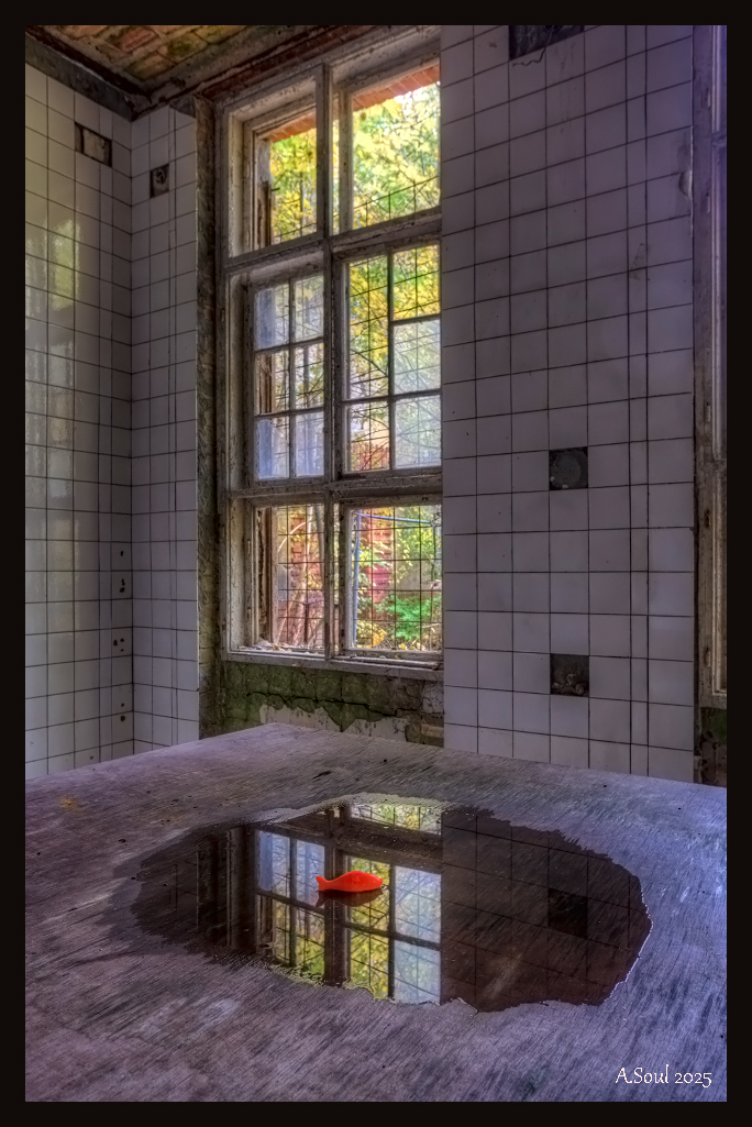 Spiegelschwimmen