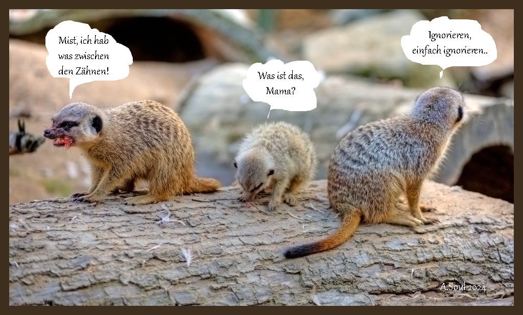 Familienfrühstück