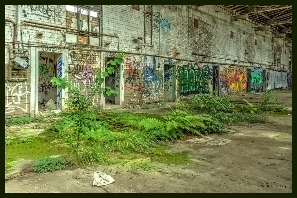 Indoorforrest
