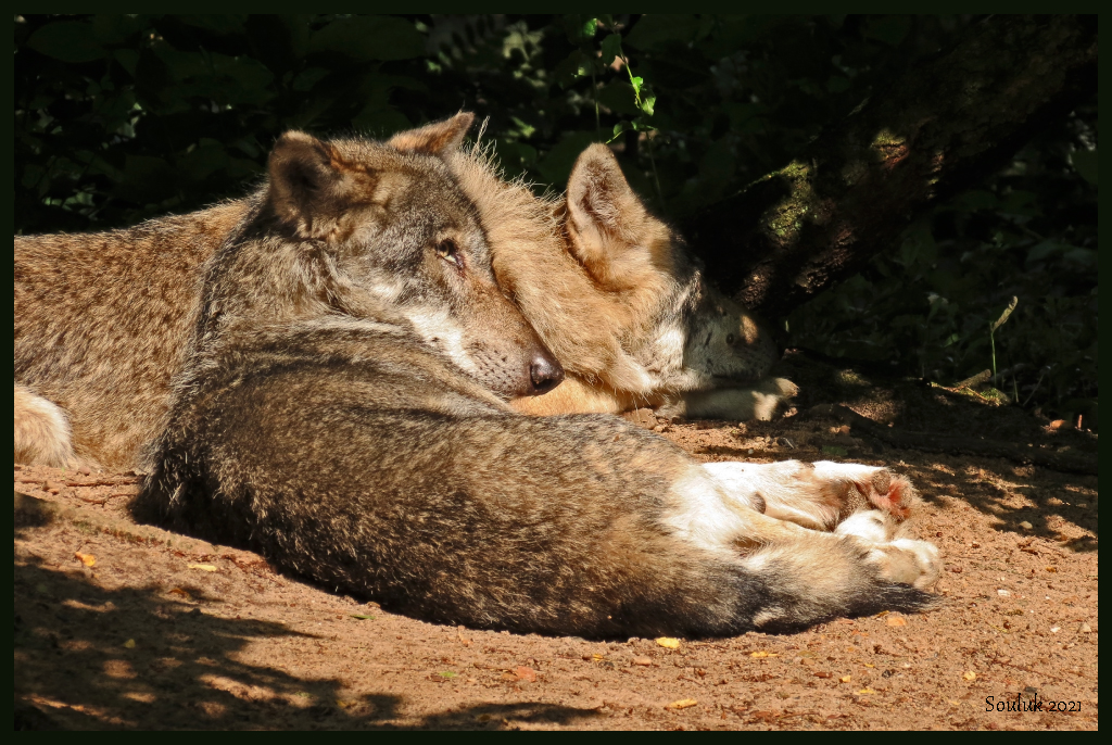 Kuschelzeit