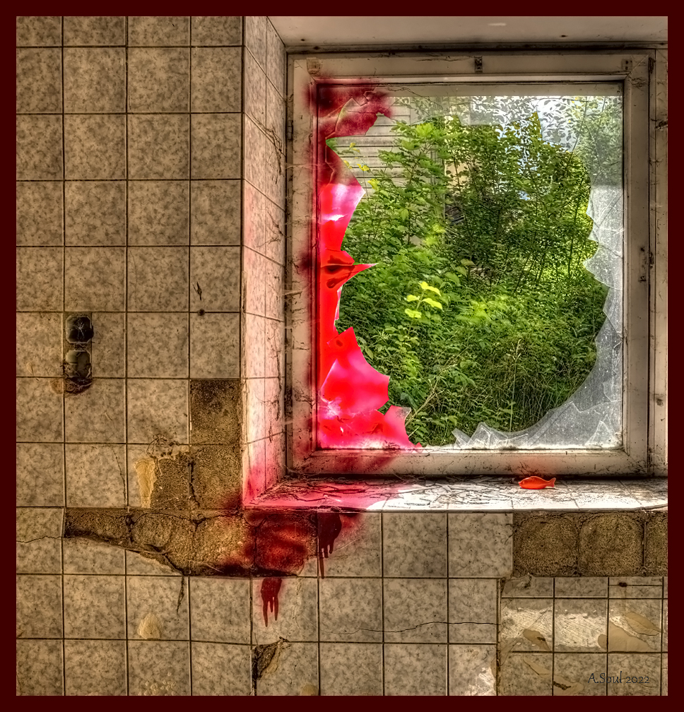Im Blutfenster